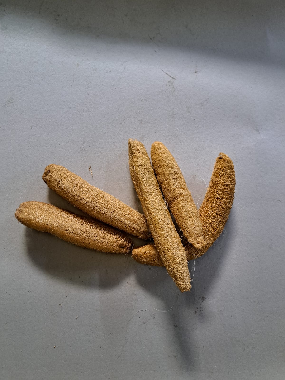 TRADITIONAL BODY SCRUBBER