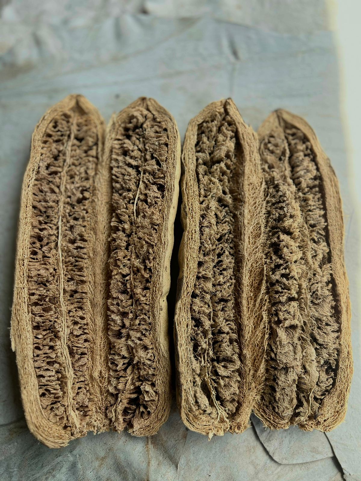 MIRATINA FRUIT